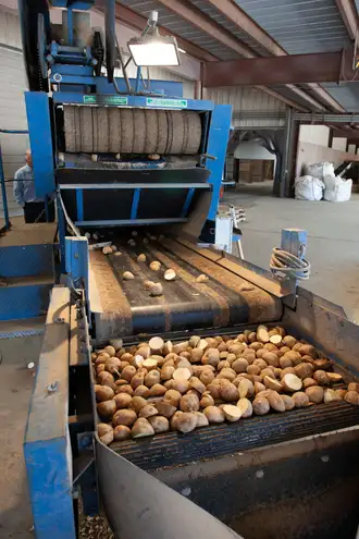 Agro Processing