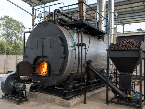 Briquettes Fired Boiler